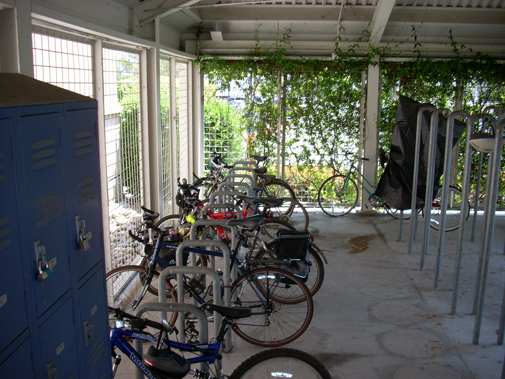 Cycle Club